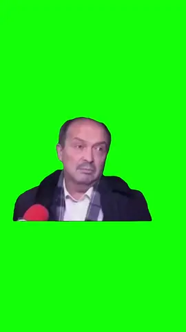 Loss of words meme green screen #discord #protemplate #keepup #greenscreen#fyp #christmas #holidays #santa #christmasspirit #memes 