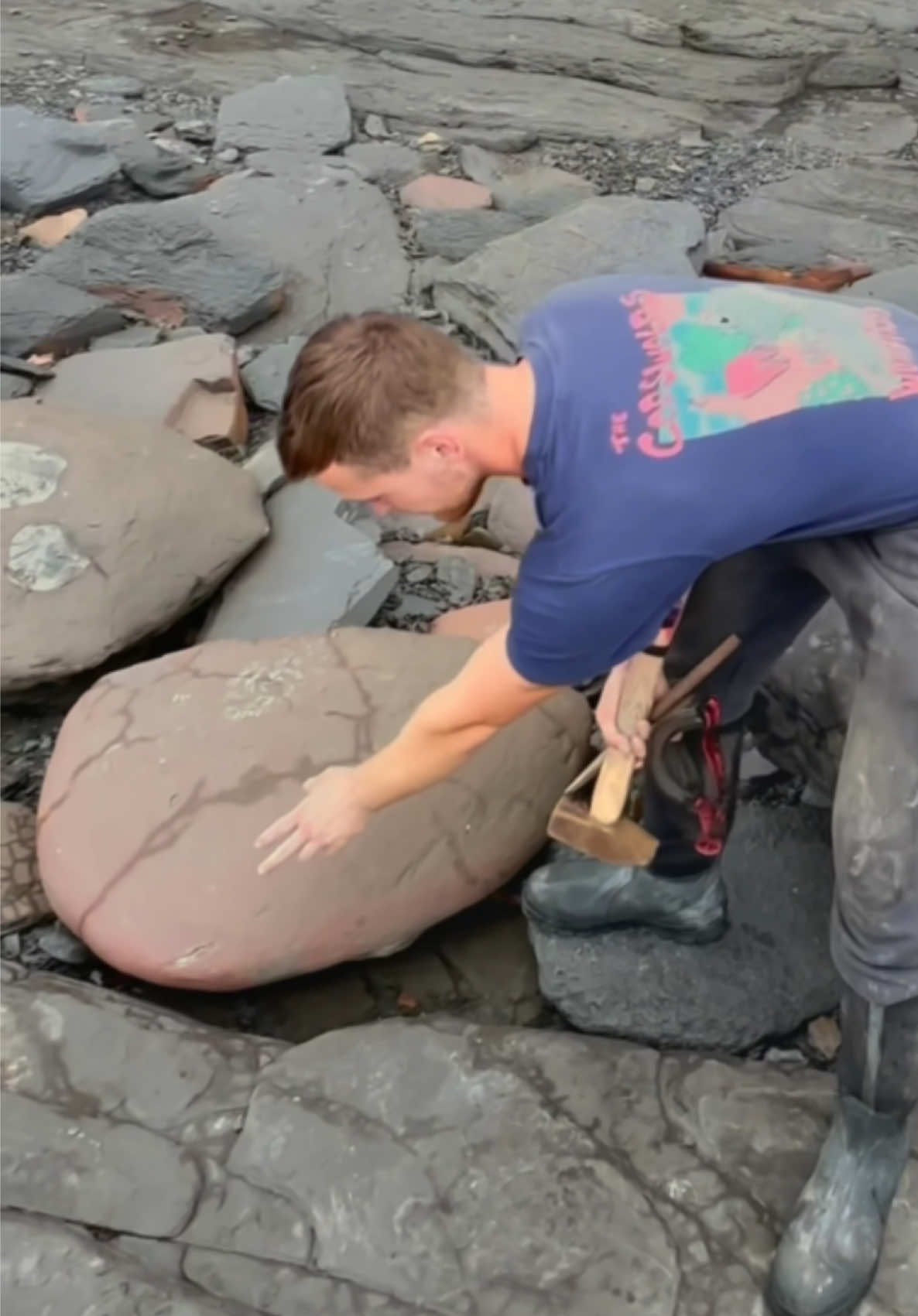 We opened this block of Jurassic shale while hunting for fossils on the beach! 🐬 Our aim was to reveal a fossil and save it from the elements 🌧️ Take a look and see what fossils we actually ended up finding! There are so many different fossils to find! 🌅 We revealed a beautiful Jurassic Age Ammonite fossil from millions of years ago, a Vertebra from an Ichthyosaur and some Belemnite fossils! 🏝 Thanks for supporting our page! 🐊 #natural #nature #fossil #fossils #ancient #animals #art #ammonite #ammonites #dinosaur #scientist  #minerals #paleontology #whitby #geologist #dorset #geology #charmouth #jurassic #yorkshire #fyp
