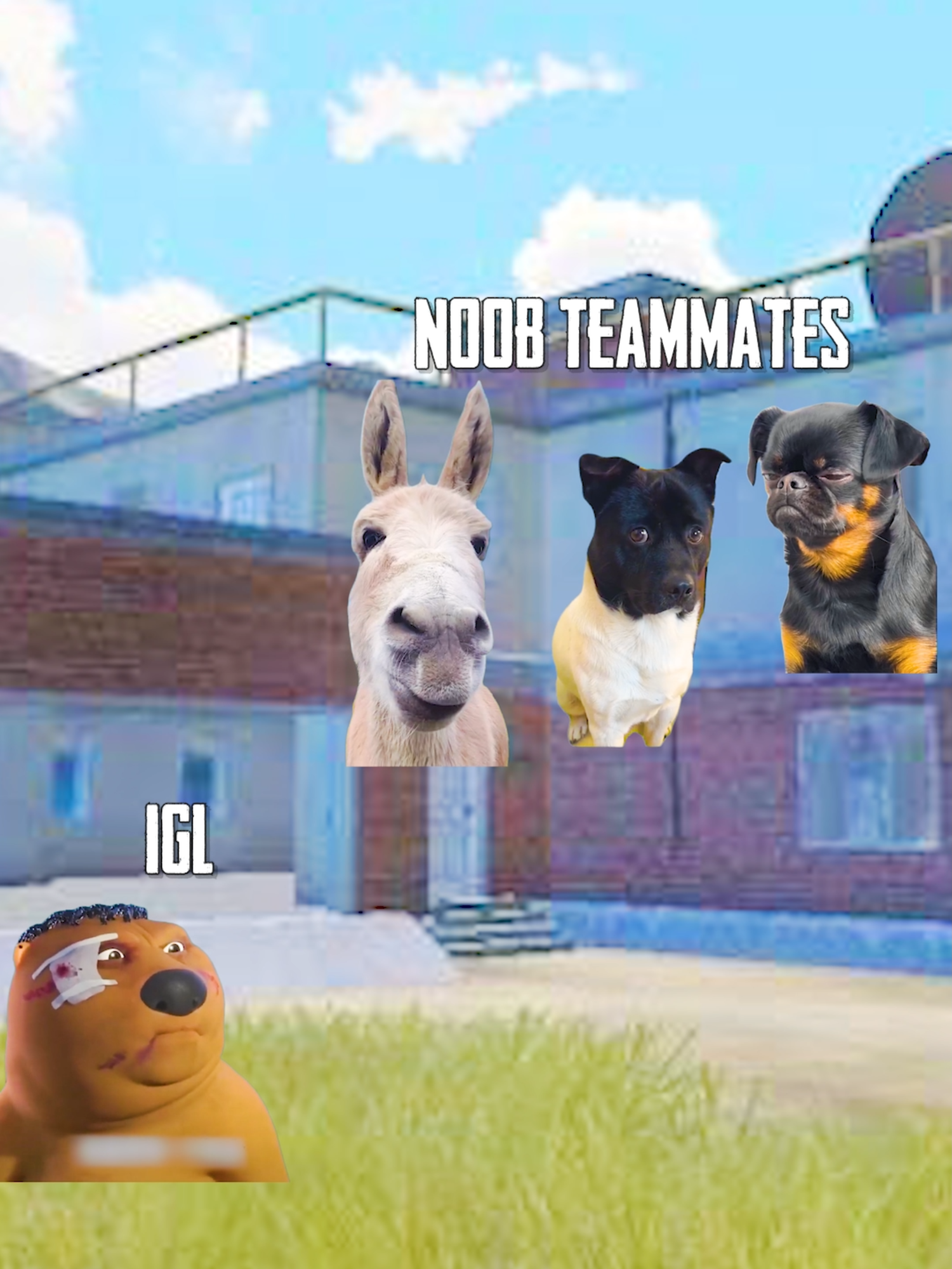 Tag your In-game leader & Noob Teammates 😂 #PUBGMOBILE #Meme #Funny #PUBGMOBILEC7S21 #PUBGMIcemireFrontier #PUBGMPK #GamingOnTikTok #WhotoFollow