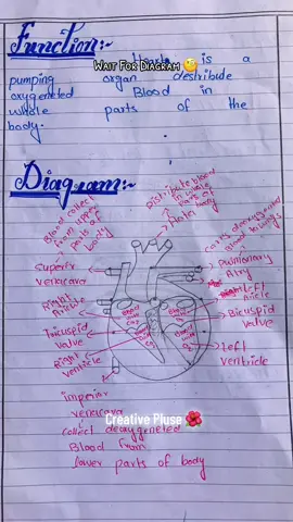 #educational #educationalpurposes #educationtiktok #educationalvideo #exams #schools #schools #paper #patternmaking #biology #diagram @Creative Pluse 🫀🌸 @Physics 📈❤🌼 @𝐏𝐫𝐨𝐟𝐞𝐬𝐬𝐨𝐫⚘ @【 🄸𝗝𝗹𝗮𝗹   𝘬ꫝαꋊ 〗 @𝐀 𝐋 𝐀 𝐌 𝐃 𝐀 𝐑 @🇮🇷شیعہ 🌺 @✨ 🦋 Bibi Zahra 🦋✨ @✨ KASHO✓ @🖤 Śäýêď 🖤M♥️Mèhďï @A  S  I  M 🩶 