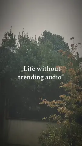 #asmr #nature #naturevibes #naturelovers #1mi #naturesounds #earth #rain #simple #peace #nomusic #chill 
