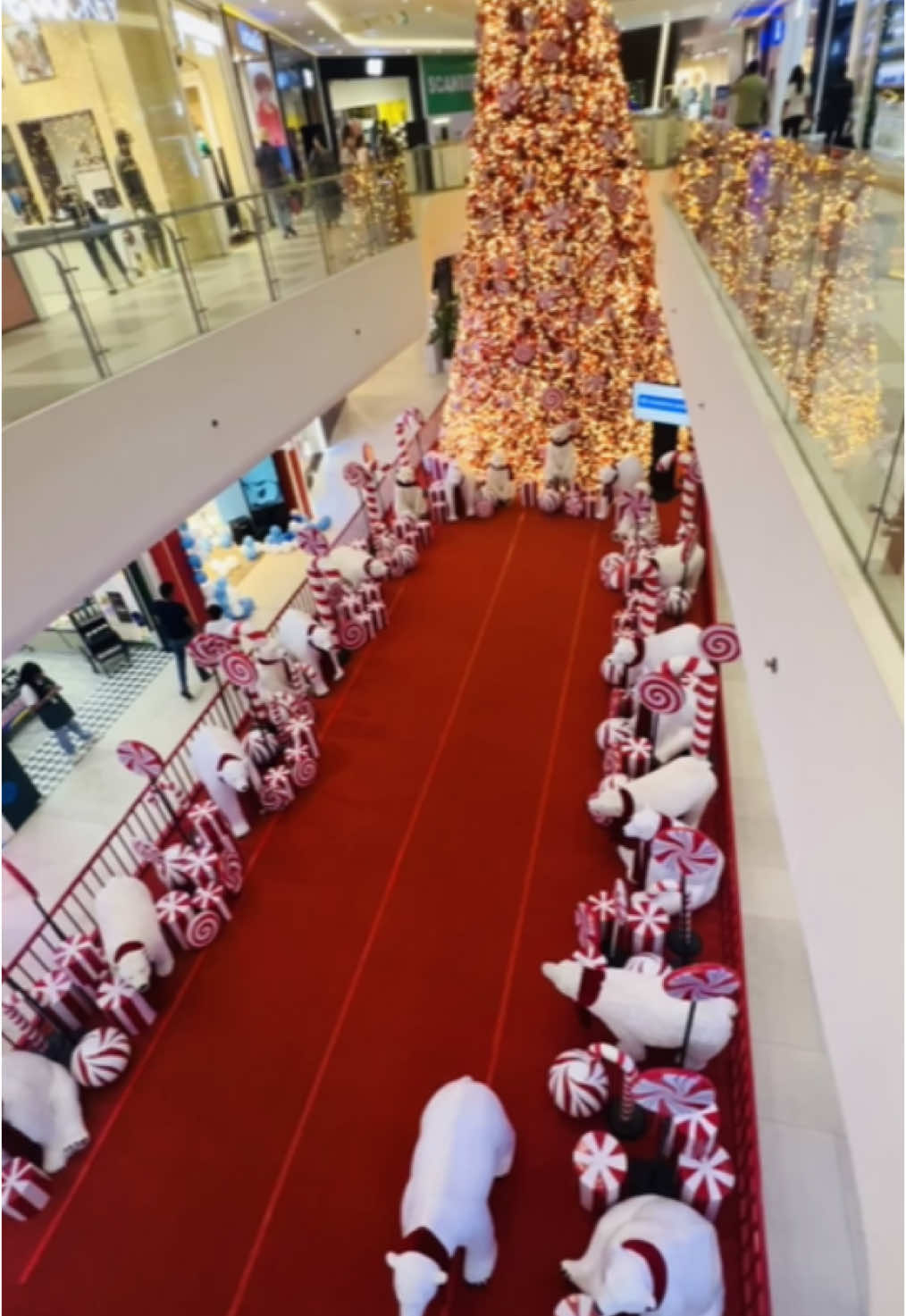Colombo City Center✨ 🎅 #ccc #colombocitycentre #critsmas🎄 #critsmas_special🎅 #critsmas_in_colombo 