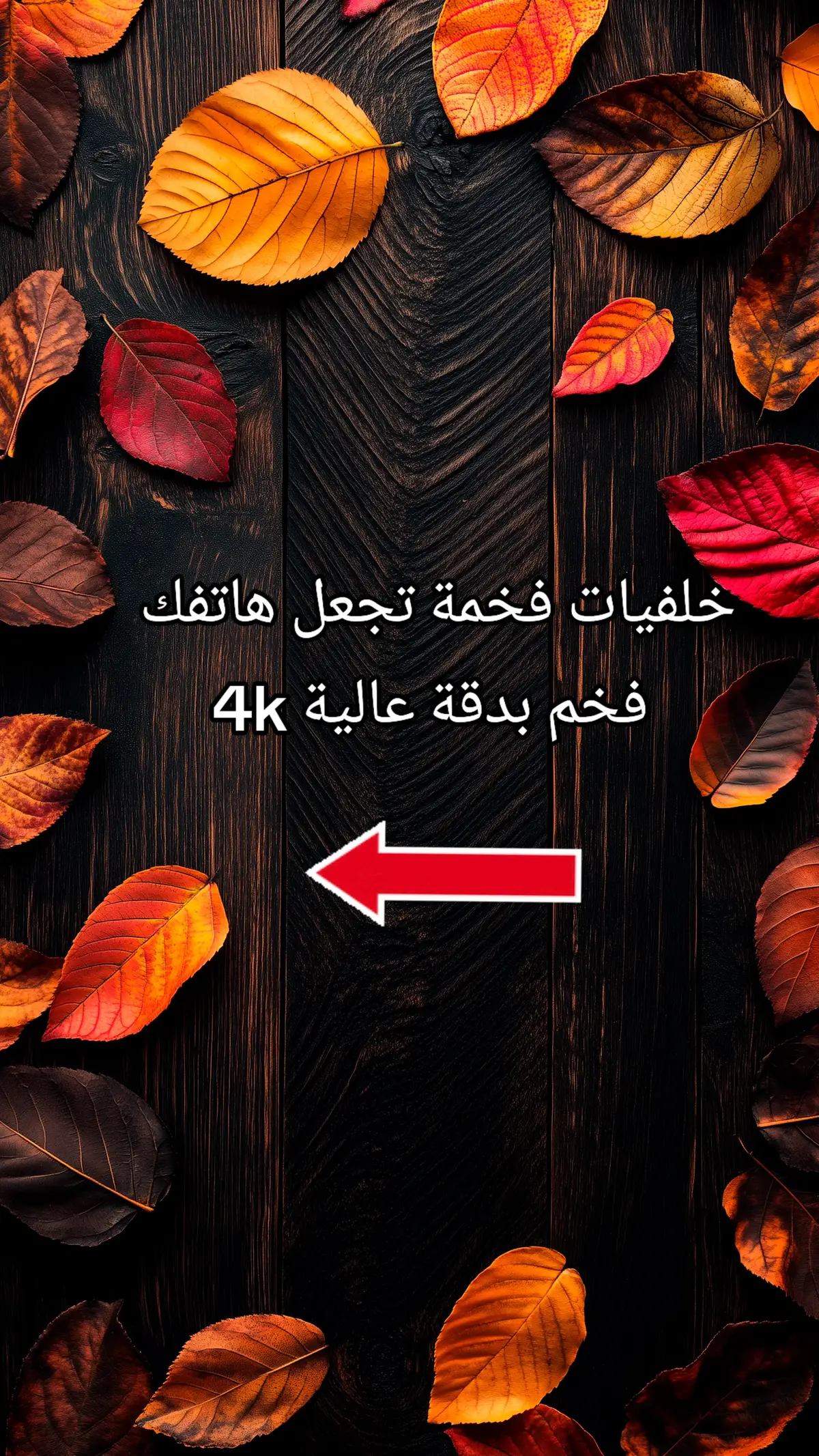 Wallpaper 4k📸👑 #wallpaper #wallpapers #خلفيات #خلفيات_فخمه #خلفيات_متحركة #خلفيات_شاشة #خلفيات_جوال #خلفيات_ايفون #خلفيات_عالية_الدقة #fyp #tranding #wallpaper 