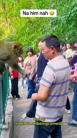 Very funny 🤣🤣 #animalcontent #animalsoftiktok #VoiceEffects #voiceover #mchumanbeingcomedy 