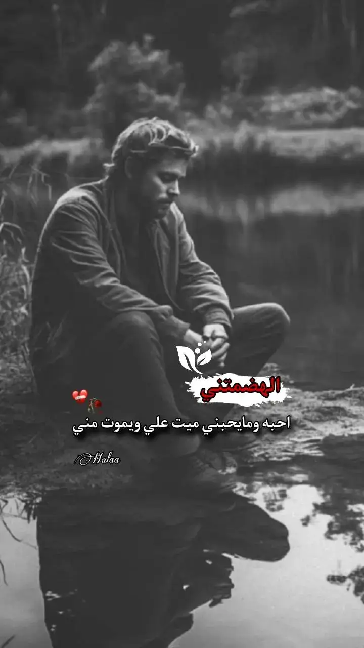 #vfpyシ #اكسبلور 