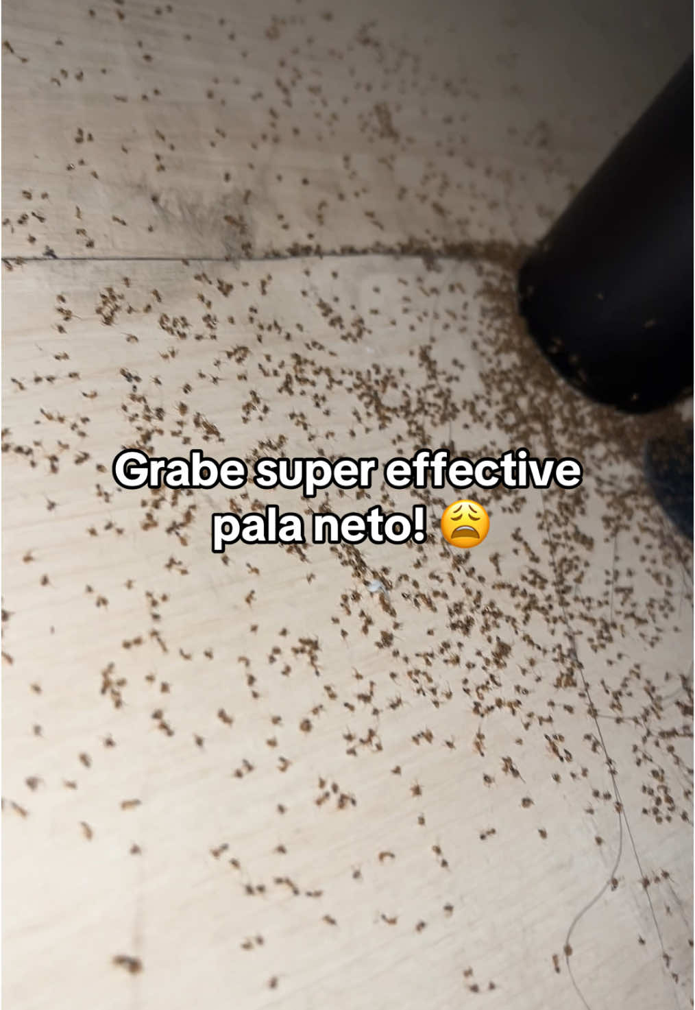 Eto na ang sagot sa matagal mo ng problema! No more langgam, ipis, langaw at lamok na! #insecticide #insecticidespray #pest #repellent #pesticides 