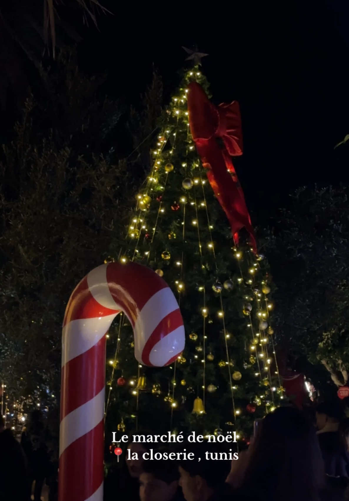 Le marché de noël  📍la closerie , tunis 
