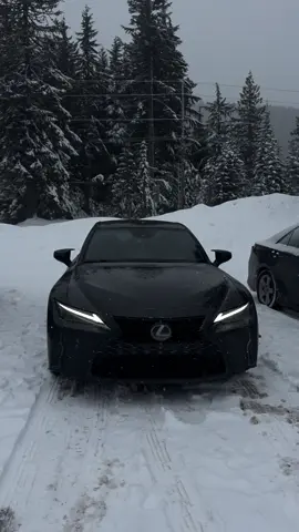 She did good in the snow 😈 #lexus #is300 #snowbunny #cars #mogged #mthood #awd