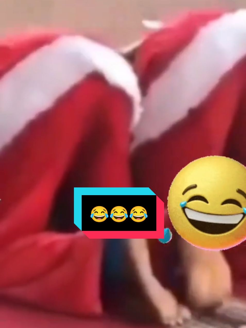 #maroc #🇲🇦👑 #france🇫🇷 #🇩🇿🇲🇦🇹🇳 