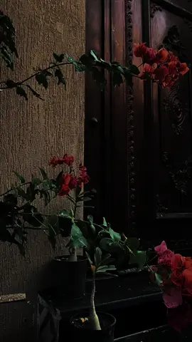 اللهم اصلح احوالنا 🙏🏽#صلاح_الحال #كسبلور_explor 