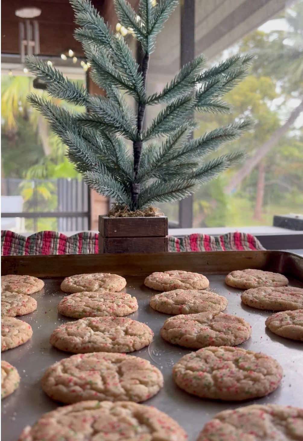 𝘊𝘩𝘳𝘪𝘴𝘵𝘮𝘢𝘴 𝘴𝘯𝘪𝘤𝘬𝘦𝘳𝘥𝘰𝘰𝘥𝘭𝘦 𝘤𝘰𝘰𝘬𝘪𝘦𝘴🎄🎁cd: 11 days!!☃️❄️#foryou #christmas #new #baking #viral #snow #fyp #holiday #foryoupage #christmasaesthetic 