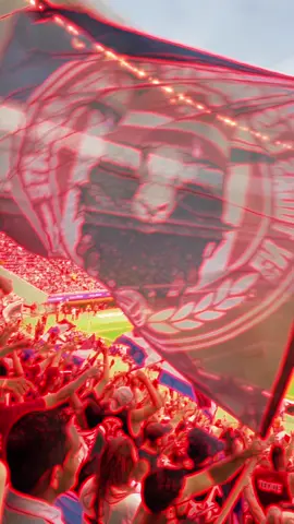 Chivas, mi buen amigo 🇳🇱🎺 #parati #fyp #chivas #chivasdelguadalajara #barrasmexicanas #porras #porrasdechivas 