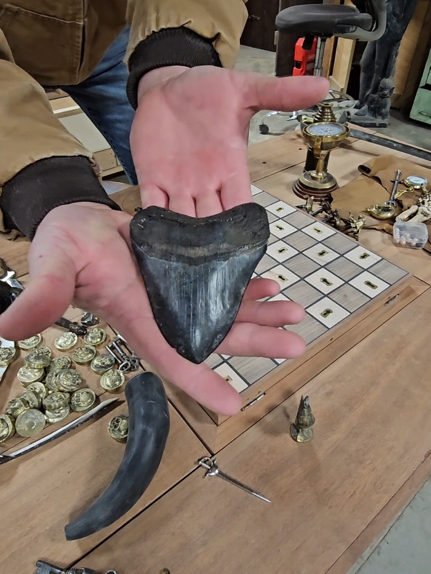 @Tommy_Ts_Teeth   #unboxing #shark #puzzle #pirate #mermaid #chess #treasure #fyp 