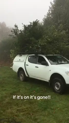 #teapotsboykittle #traveller #gypsystyle #bobberloveridge #ireland #fypシ #fypシ #fyp 