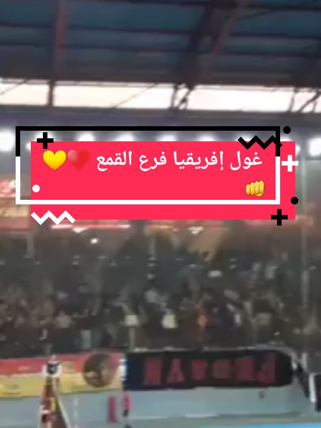 أنت و شنو تختر فرع القمع و إلا فرع الشيخة ♥️💛👊الترجـــــي معك  #cejourlà #sportsontiktok #fyp #esperance_sportive_du_tunise #sport #volleyball #champions #sports #handball #champions #tunisia #curvasud #makch5in #force #vocals #pourtoi #taraji #tarajiphenson #viragesud #football #beast #africa #taraji @🎭Mohamed_elcapone🃏 @🎭Mohamed_elcapone🃏 @🎭Mohamed_elcapone🃏 