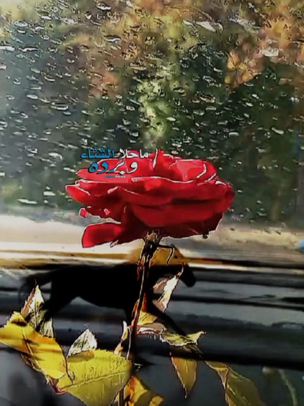 ماحلا الشتاء وبرده ☕☁️🌧️#شيلات_فخمة❤️ #تصميم_فيديوهات🎶🎤🎬 #اكسبلور #ترندات_تيك_توك #trending #تصويري #lavendr81 #viral #الشعب_الصيني_ماله_حل😂😂 #ذوقي_للناس_الرايقه #CapCut 