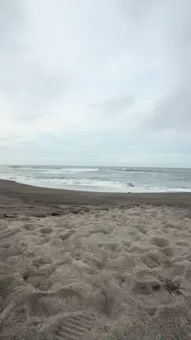 ✌️