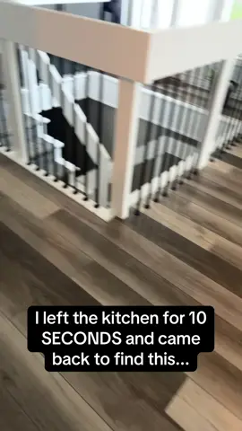 Walter is one BIG hungry boy 🤣🤣 #RoadTo16Million #Pubity  (Crystal Mulherin via ViralHog)