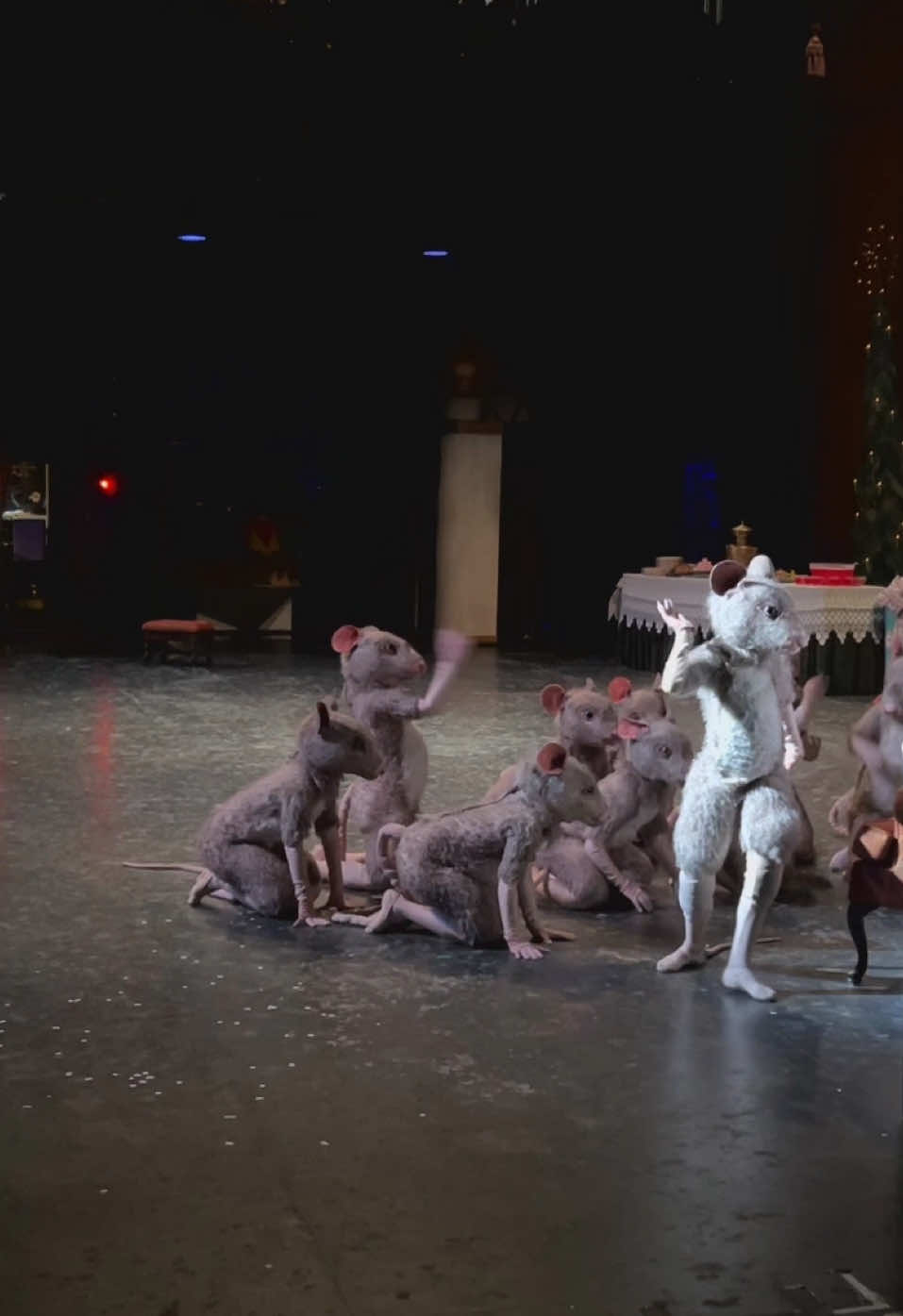 Mice at midnight; The plan? Chaos. The goal? Snacks. The outcome? Still undecided! #nutcrackerseason #nutcracker #nutcrackerballet #ratsoftiktok #ballettok #holidayseason 