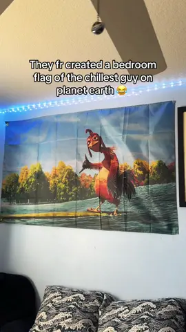 Chicken joe has to be the chillest guy actually 😂 This bedroom flag is perfect for your dorm or room! #fyp #foryou #tiktokshop #chillguy #chickenjoe #surfsup #codymaverick 