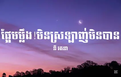 ផ្អែមម្លឹង!មិនស្រឡាញ់មិនបាន - នី រតនា #tiktok #viral #Love #fyp #foryou 