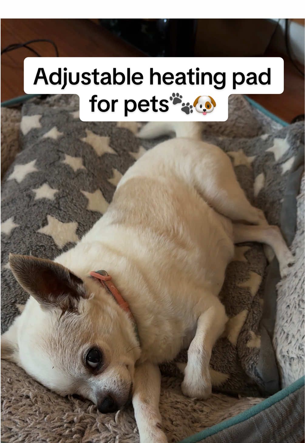 The pad is so easy to clean, just unzip and remove it for washing. I think our dog loves this more than she loves us now 😅🐶🐾#creatorsearchinsights #petbed #petbeds #heatedpad #cozydog #dog #dogsoftiktok #dogmom #dogparents #dogparentsoftiktok #dogtok #doglife #petbedding 