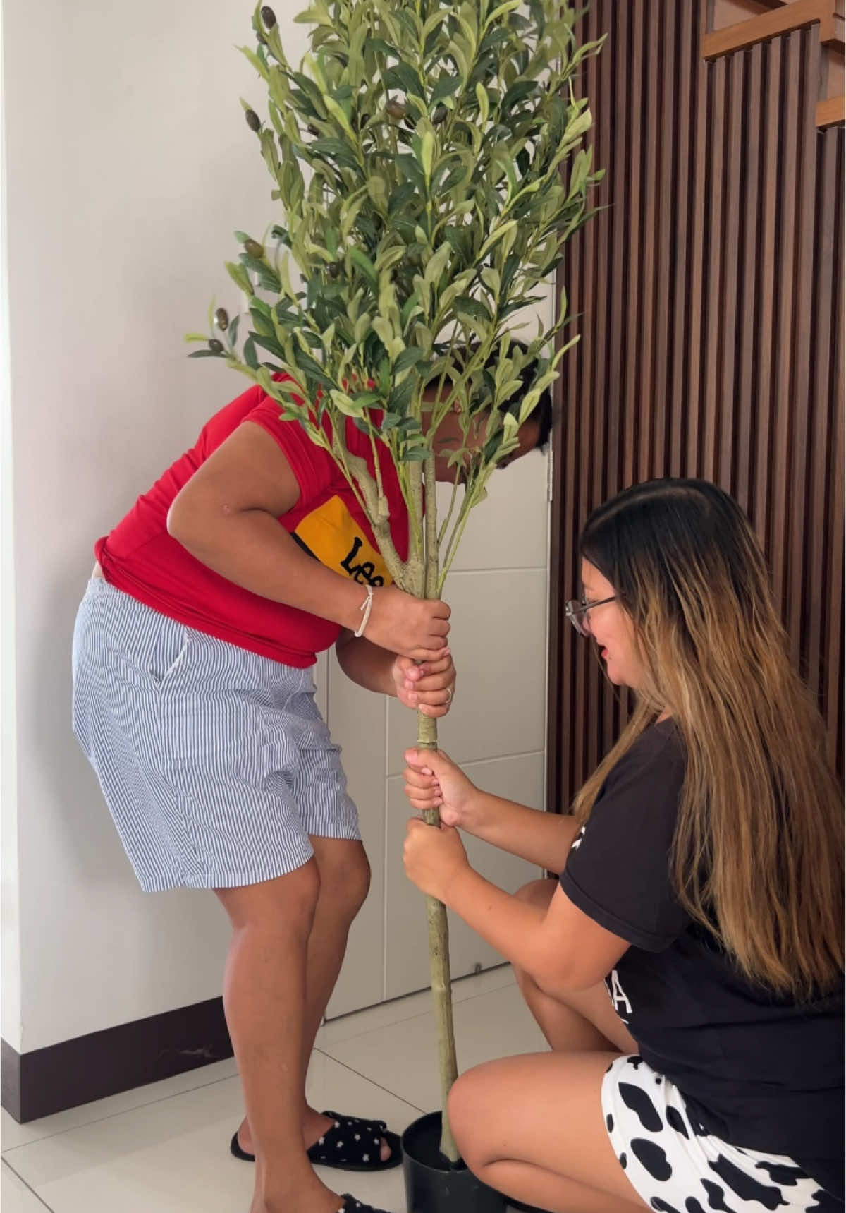 Olive tree 🫶  #fyp #artificialplants #olivetree 