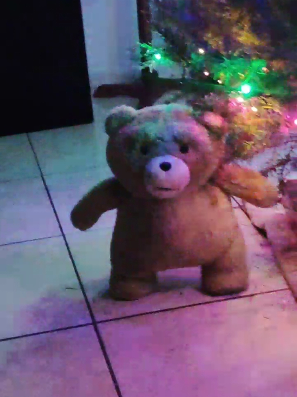 #parati #viraltiktok ##teddy #ted 