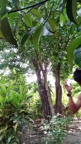 SA SONOD IMOHA NAKO OEE DAWATA NAGOD BAHALAG MAOT 😁🥹🥹#typppppppppppppppppppシ #fypageシ #mahalinmo #fypシ #trending #viral #tiktok 