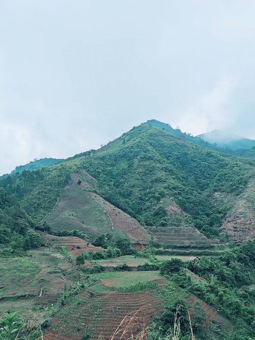 cảnh đẹp núi rừng quê em.anh ơi lên núi không sợ mỏi trân thì lên ngắm cảnh miễn phí đi ạ#canhdep #xuhuongtiktok #miennui #canhdepthiennhien 