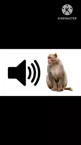 แจกเสียงลิง#fyp