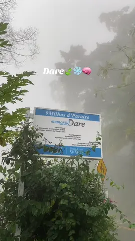 #darevibes🍃🇹🇱 #timorleste🇹🇱 #fyp #4upage #balibarvibes🌫🍃 