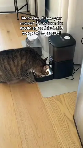 This is must for pet owners! 😺#automaticcatfeeder #oneisallofficial #dogfood #catfood #pet #chritsmasgift #tiktokshopholidayhaul #falldealsforyou #tiktokmademebuyit 
