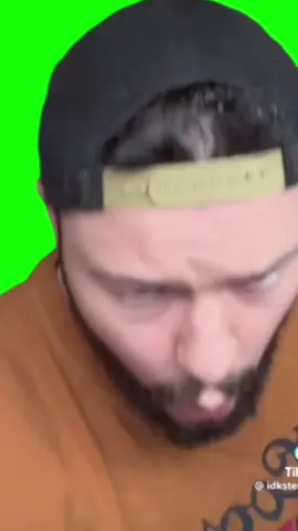 Idksterling lingang guli guli greenscreen #idksterling #greenscreen #donpollo #memes 