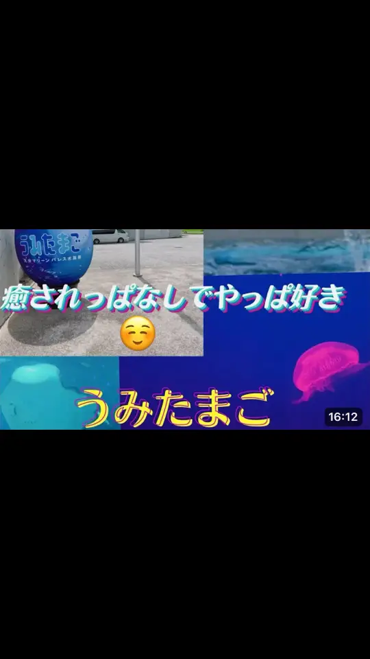 大分にあるうみたまごに行ったときの動画です✨ 水族館が好きな人はYouTubeで公開しているので 良かったらどうぞ！ #youtube #うみたまご #水族館 #大分 #日常 #暮らし #Vlog 