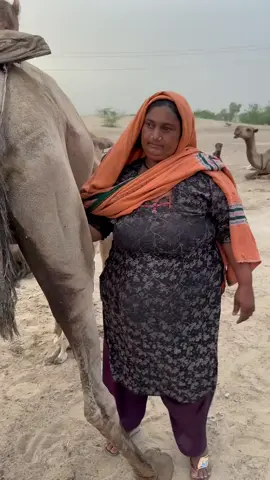 #trendingvideo #growmyaccount #growmyaccount #camle #unfreezemyacount #trendingvideo #fyp #camelmilk #dasilifestyle #foru #foru #camlemilk #camlewaly1 #camlewaly1 #dasilife #fyp #growmyaccount #camle 