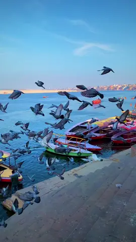A beautiful view with Urdu poetry. #youtube #sunset #fpyシ #fpy #view #tiktok #relax #scene #video #viral #bird #sea 
