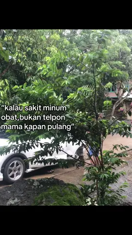 🥺#ldrsamamama#foryoupage 