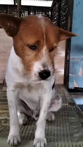 namanya juga kekinian 🗿 #capcut #tiktok #fypシ #fypviralシ #meme #masukberanda #viral #lucu_ngakak #TikTokLIVE 