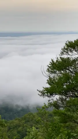 hoki dapat lautan awan di musim hujan🥺 #lautanawan #mountain #alam #mendaki #bukitmaras #bangkabelitung 