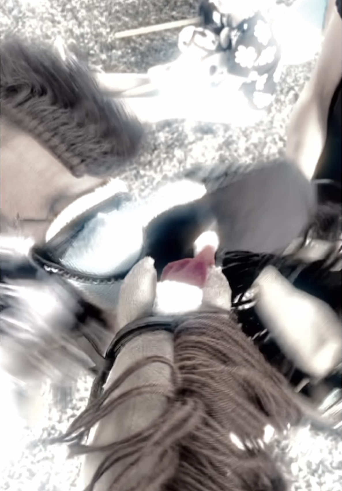 @Khḻőe#FEIN #hobbyhorsejump #h #hobbyhorsepovh #hobbyhorsed #hibbyhorseingistsporth #dressage #hibbyhorseingistsporth #hobbyhorsedressageh #dressage #hobbyhorseh #hobbyhorsemeneh #meme#hobbyhorseedit #hobbyhorsepov 