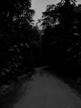 ২০২৪ শেষ হতে চললো Mention The Best Person যাকে এই বছর পেয়েছ!😊💗#foryou #foryoupage #bdtiktokofficial🇧🇩 #tiktokbangladesh🇧🇩 #alpha__takwa @TikTok Bangladesh 