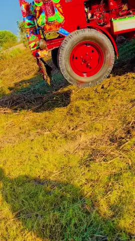 ✌️✌️❤️❤️💥🌹🌹🌹@ساقی چانڈیو @Jutt🤟  @کلیم ببر💔 