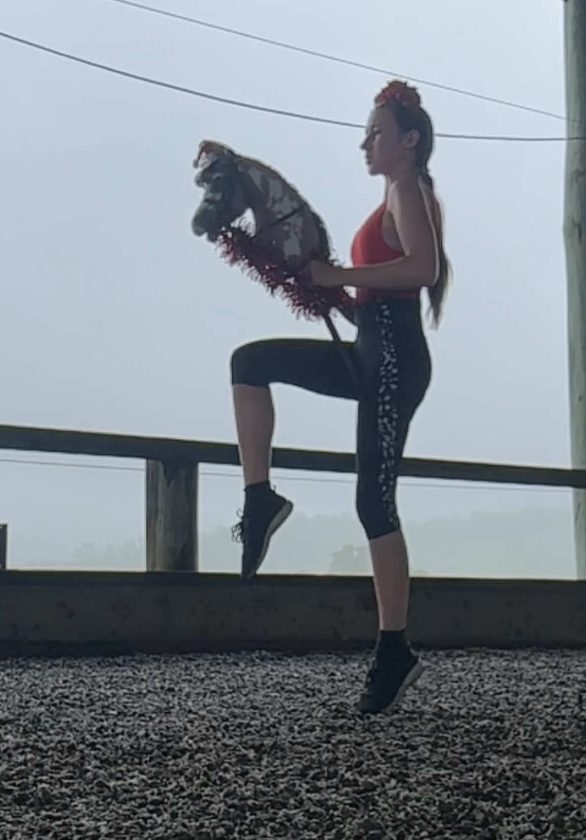 #bro the kid in the back tho !!!!!#hobbyhorsejump #hobbyhorsecomp #hobbyhorsed #hobbyhorsepovh #highjump #hobbyhorsrhighjump #hobbyhorsrhighjump #hibbyhorseingistsporth #dressagestallion #dressagestallion #hobbyhorsedressageh #hobbyhorseedit 