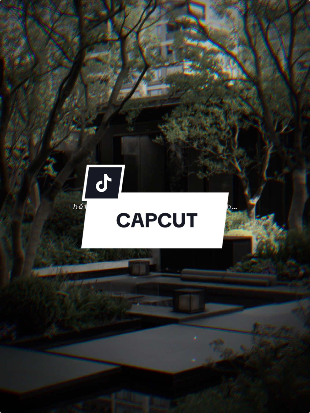 Em không thể trao anh niềm tin… #CapCut #viral #xuhuong #fyb