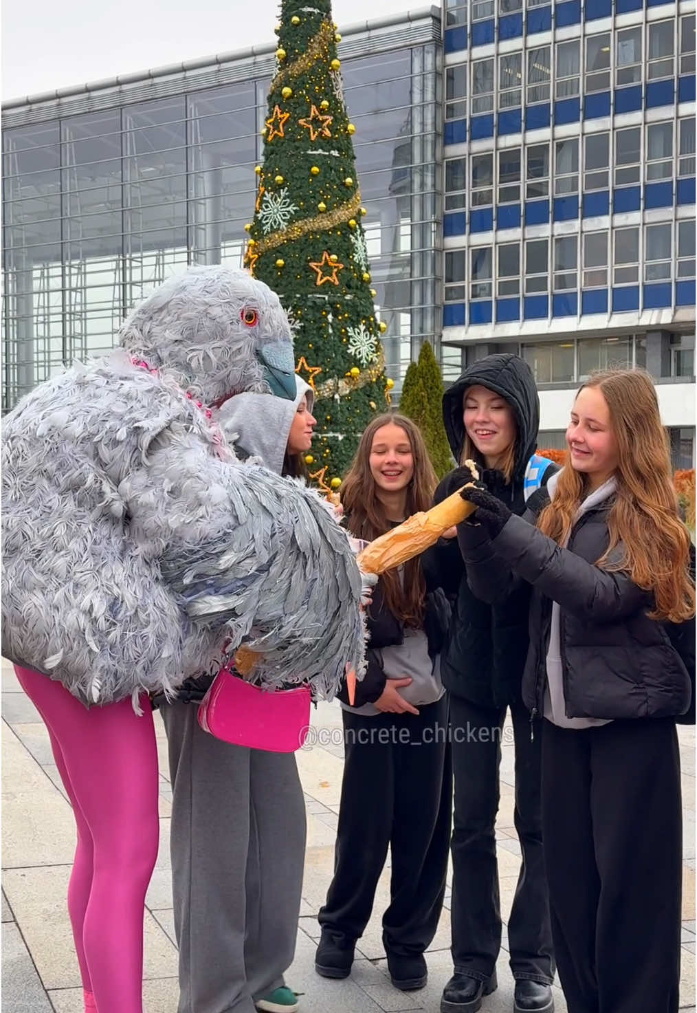 I bless you by Holy Bread 💖🥖🐦  #fyp #pigeon #funny 