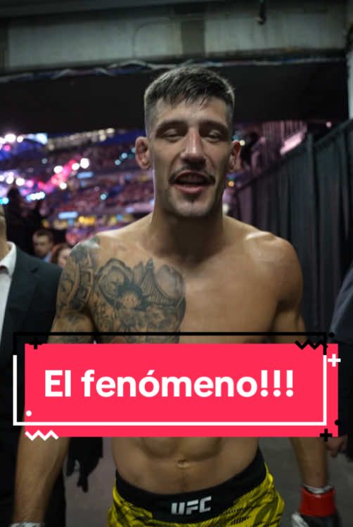 #UFC #ufcespañol #joelalvarez 