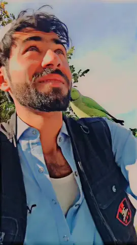 اوکنہ گرانے#😧 #🥹 #😭 @ملنگ جان 