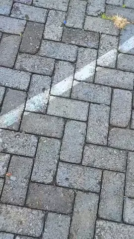 gagal HD 😕 #69gterrgank #kphgank🚀 #berkahjagal #xyzbca #4u #trending #TikTokAwardsID 