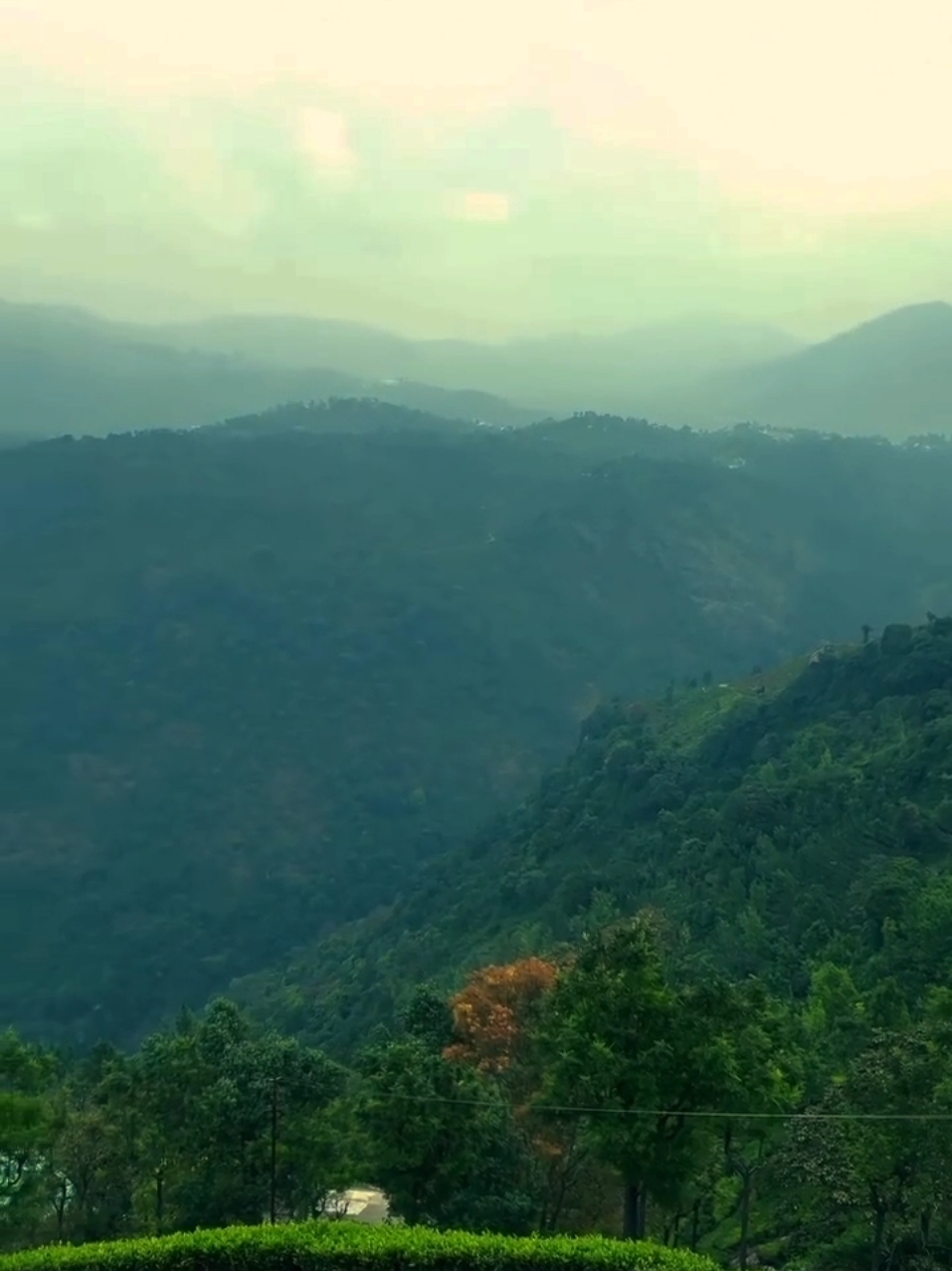 Ｆｅｅｌ  ｔｈｅ  Ｎａｔｕｒｅ 🦋✨️ #travels #trvelphotography #traveler #traveling #travelgram #travelblogger #travel #traveladdict  #viral #trending #instatraveling #naturelover #nature #color  #photooftheday  #Hiking #photoeveryday  #srilanka #srilankatravel #beautifulsrilnka #beautifulplaces #jungle #deraniyagala #waterfall #ceylonwildseeker
